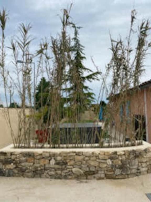 Villa Spa Piscine : Entre Mer Et Montagne Foissac  外观 照片